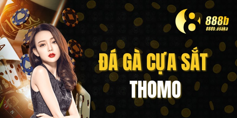 đá gà cựa sắt thomo