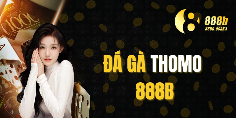 đá gà thomo 888b