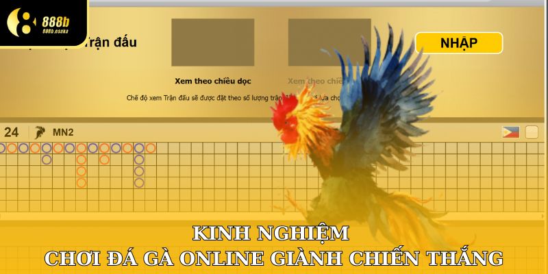 Kinh nghiệm chơi đá gà Online giành chiến thắng